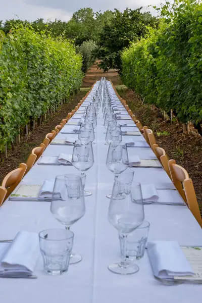 Cenanellevigne DSCF1247 @Claudiabaldino